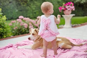 Why Are Dogs Gentle With Babies?