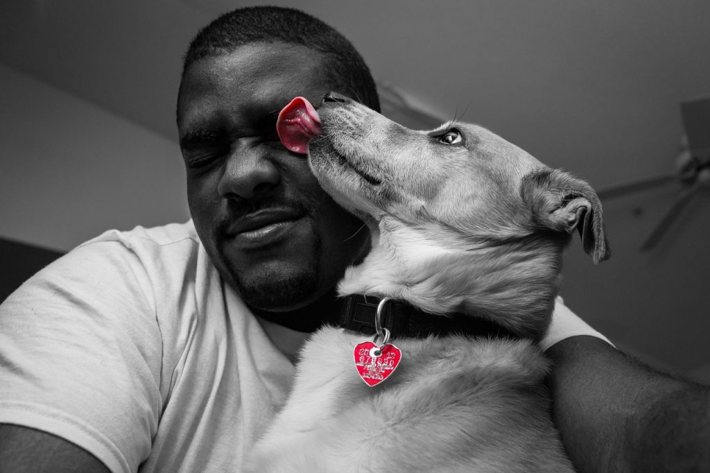 Why Do Dogs Lick People?