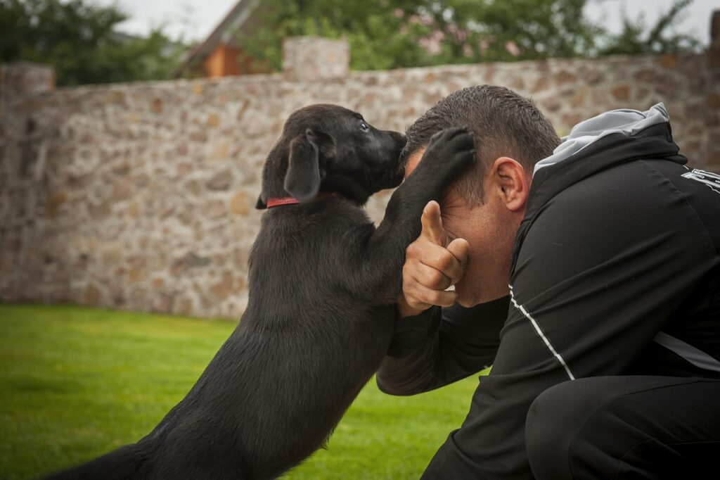 Why Does My Dog Jump On Me All Of A Sudden?