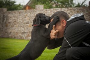 Why Does My Dog Jump On Me All Of A Sudden?