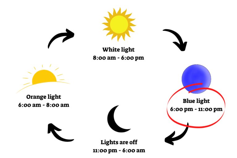 Blue light schedule