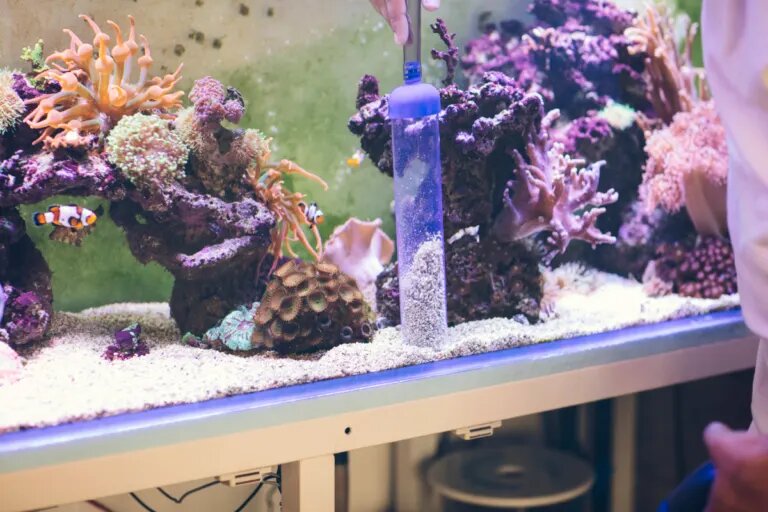 reef tank gravel vacuum