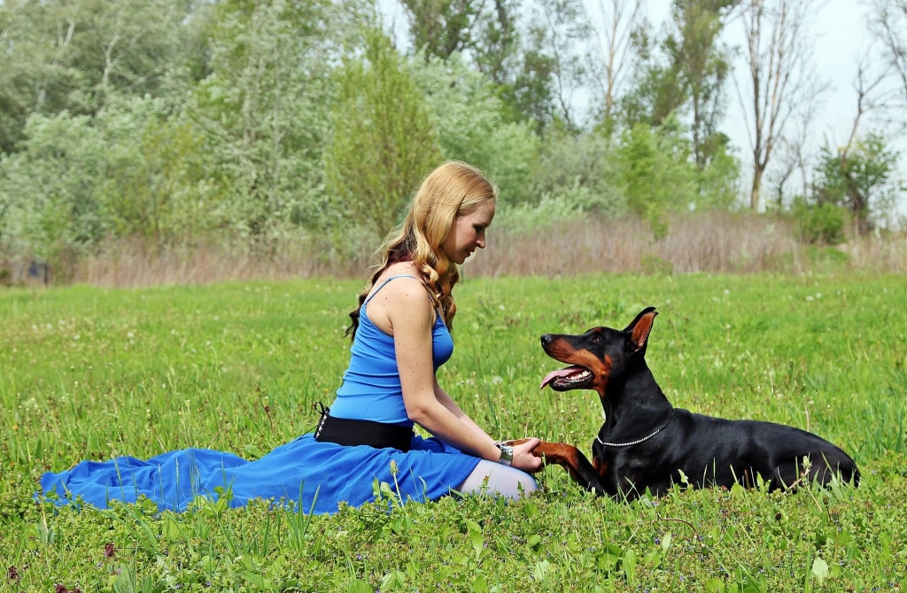 Tools for training a dog to 'Lie down' command