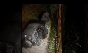 In Canada, a bear broke into a car and drank 69 cans of carbonated water.