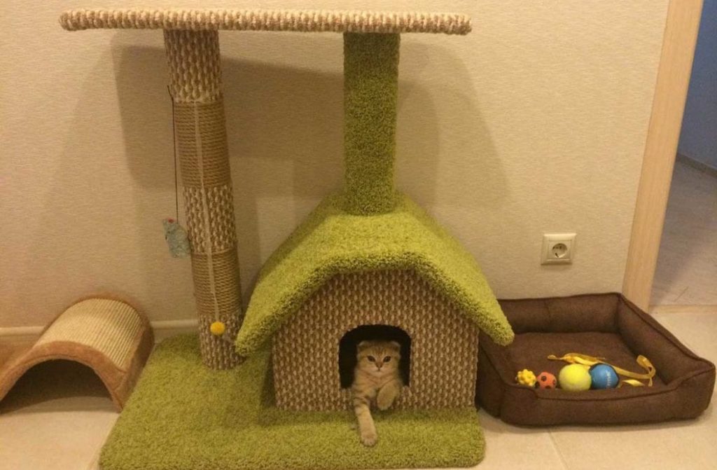 Top Selections for Cat Trees in Compact Apartments.