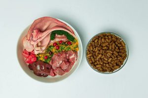 The Definitive Handbook for Transitioning Your Pet to a Raw Food Diet.