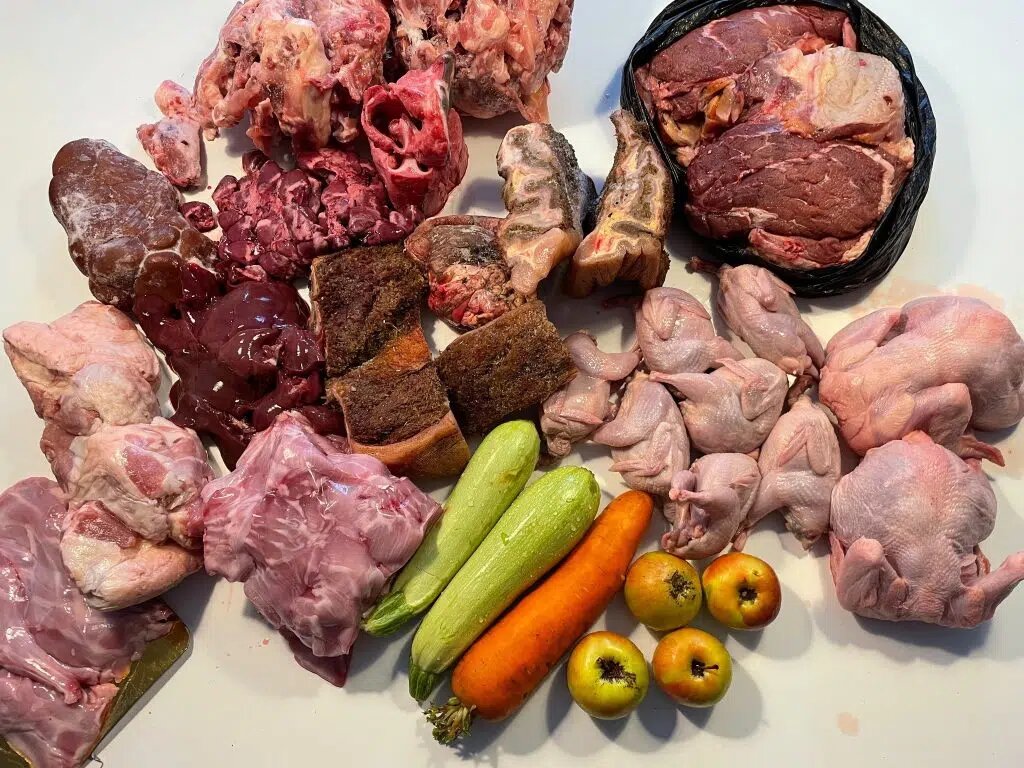 The Transformative Power of Fiber in Enhancing Your Dog’s Overall Health.