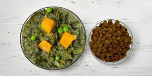 Unlocking Optimal Canine Health: Unraveling the World of Dog Nutrition.