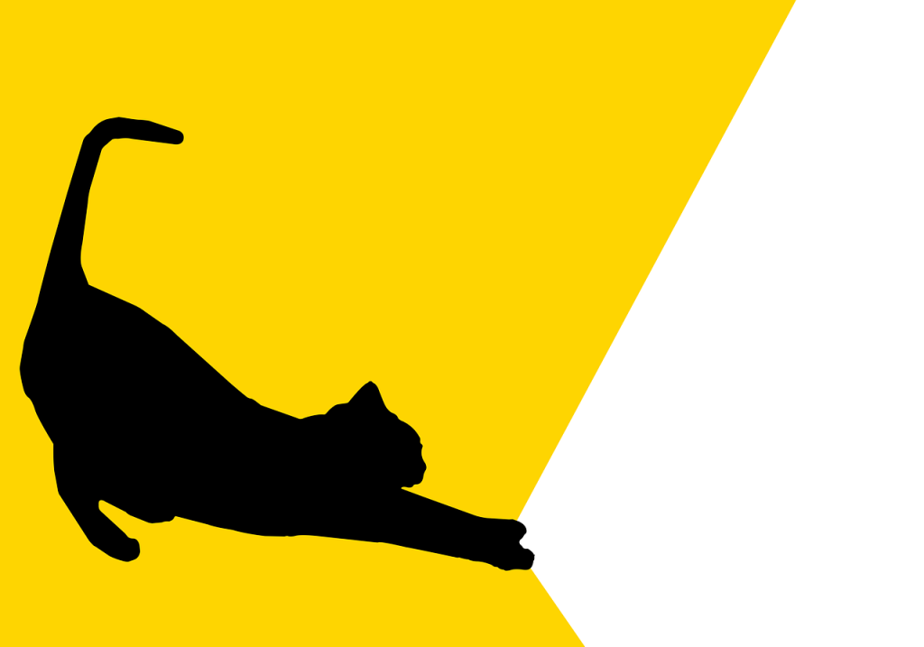 Why Do Cats Raise Their Hindquarters When Scratched? Exploring 4 Reasons Behind This Behavior.