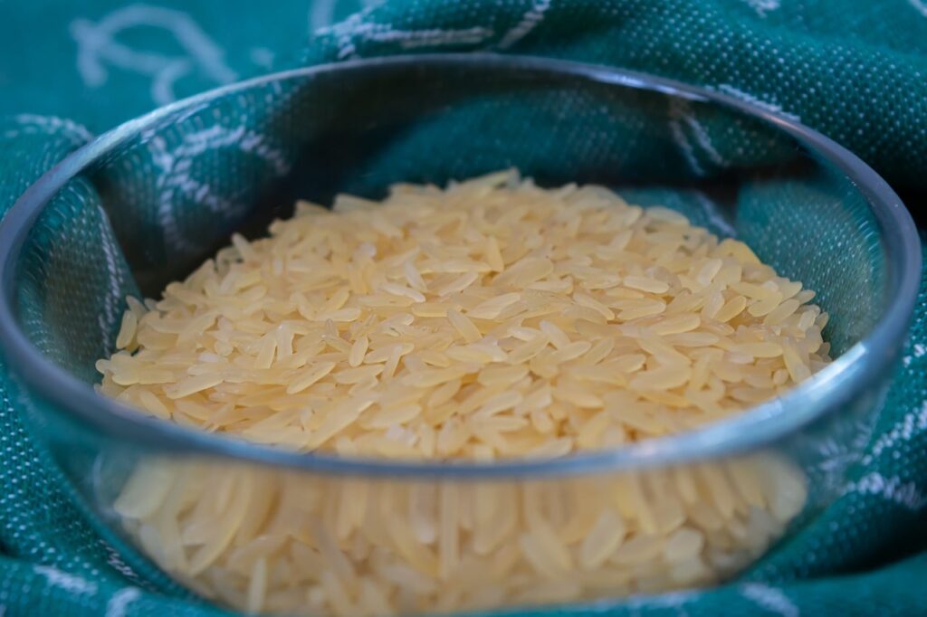 The Nutritional Impact of Rice in a Dog’s Diet.