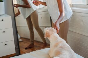 Why You Should Never Pat a Dog on the Head: Reasons & Understanding Canine Behaviors.