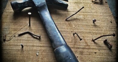 Чому варто додати іржаві цвяхи у воду для поливу рослин?