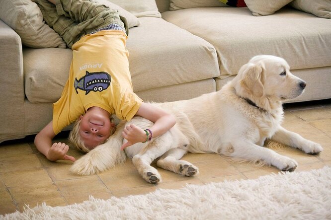 Чи не шкідлива хімчистка для алергіків?