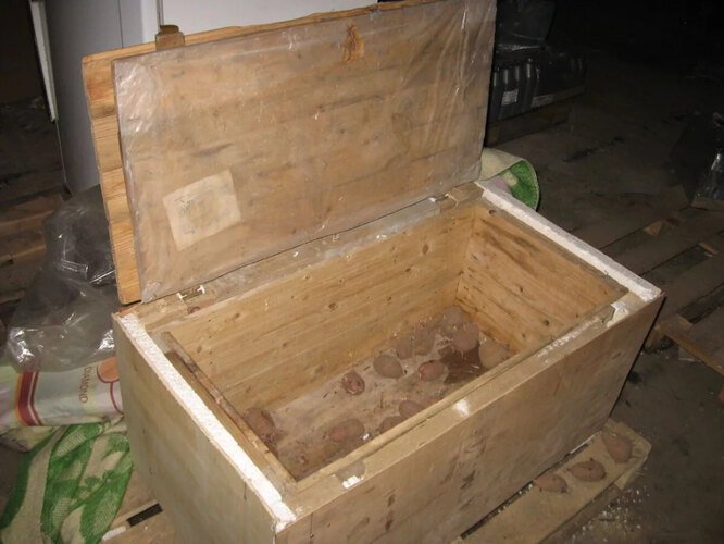 Нескладне домашнє сховище картоплі