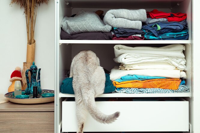 Як розмітити білизну на полицях?