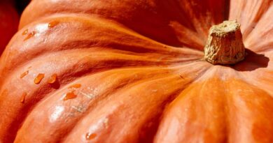 Як заморозити гарбуз на зиму?