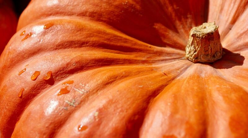 Як заморозити гарбуз на зиму?