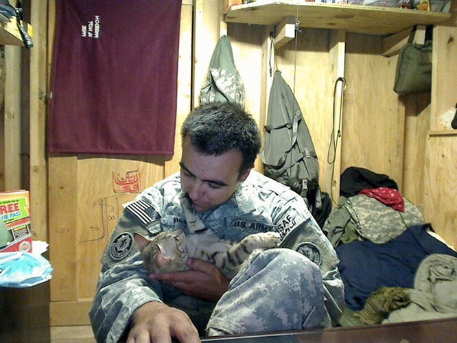 Кішка &laquo;відмовила&raquo; солдата від суїциду