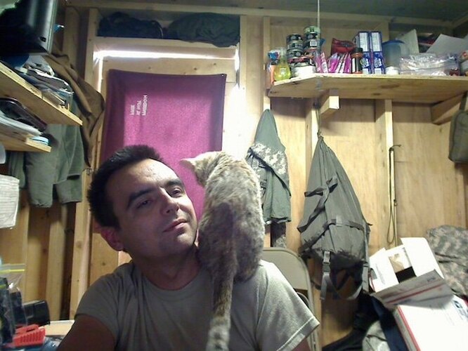 Кішка врятувала людину від самогубства