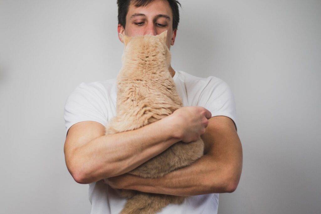 Я, або кішка: дівчина-веган змусила хлопця обирати. Він вибрав кохану... кішку