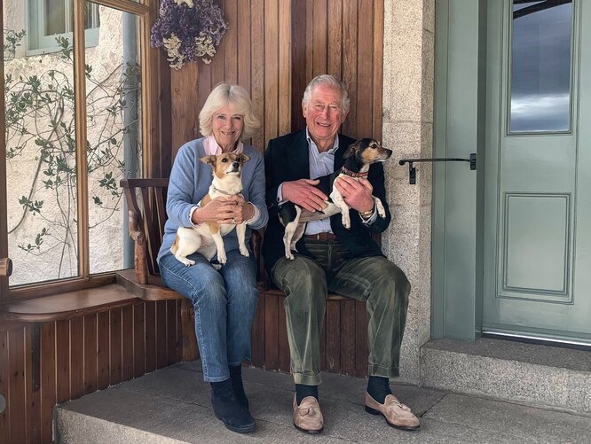 Бет і Блубелл - собаки короля Карла III та його дружини Камілли