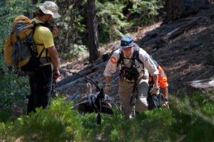 У лісі знайшли невідому тварину. Під шаром бруду ховався справжній красень.