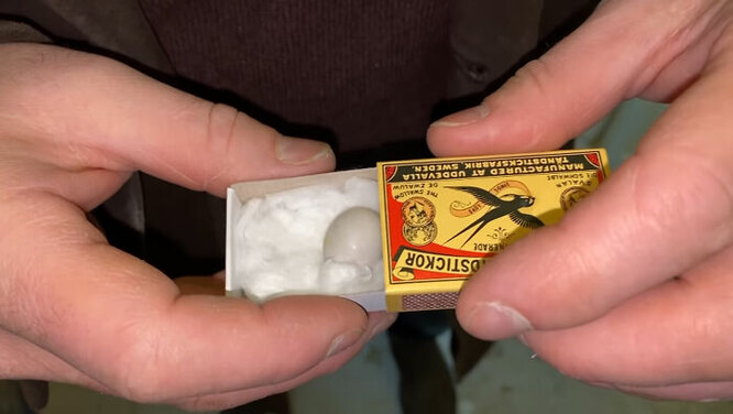 Маленьке пташинне яйце