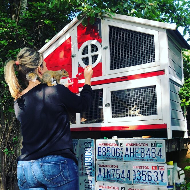 Справжній палац для білки