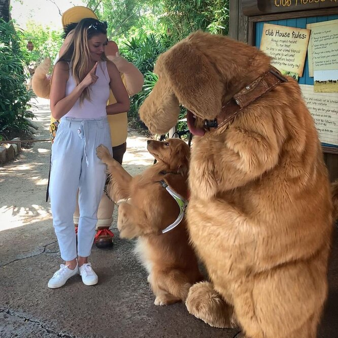 Службовий пес у Діснейленді