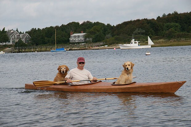 Собаки катаються на каяку разом із господарем