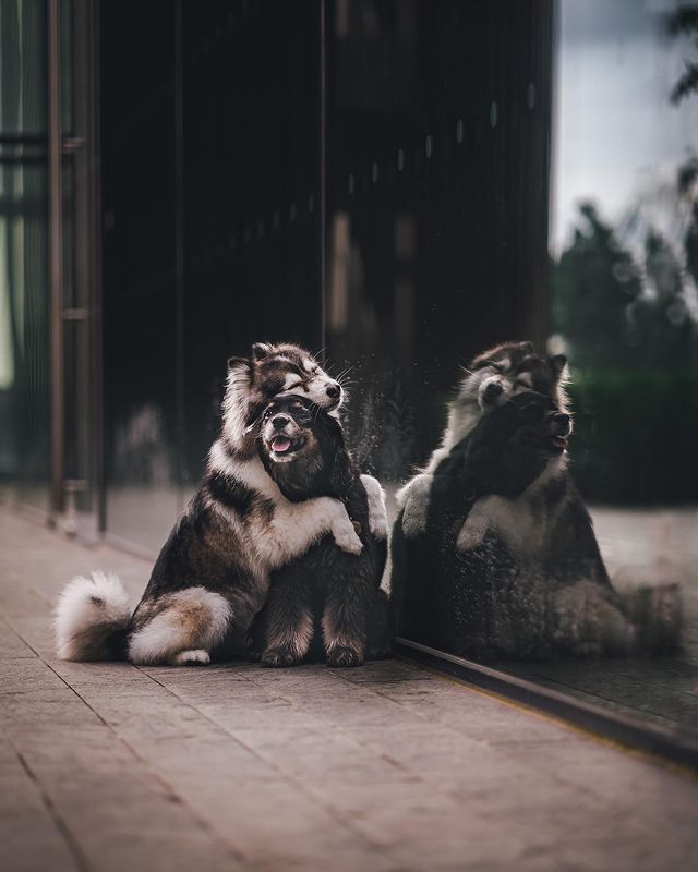 Мія (ліворуч) зі своїм другом Кійо (праворуч)