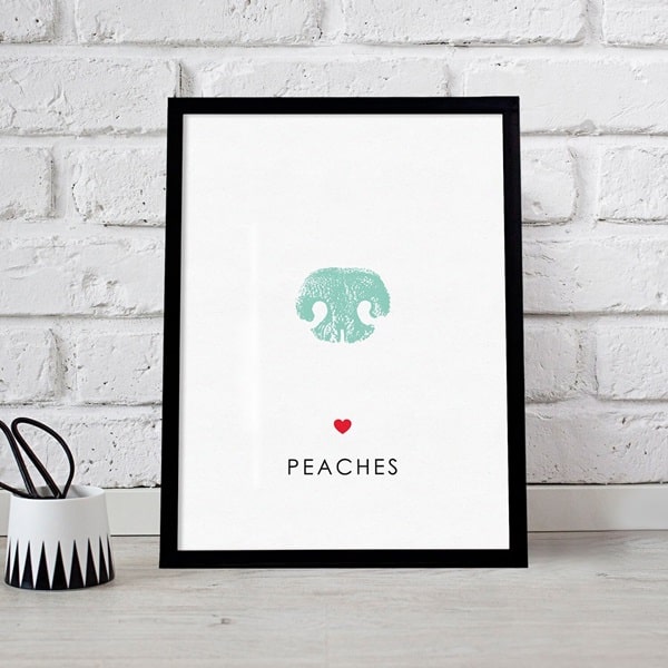 Відбиток носа собаки, як унікальний сувенір