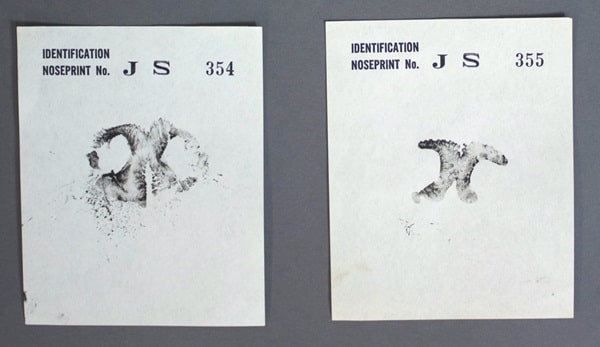 Паспорт поліцейського собаки з відбитком його носа