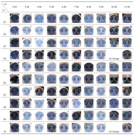 Відбитки носів собак