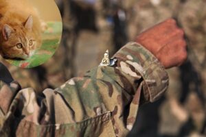 Турбота про тварин в умовах мобілізації: привід для діалогу.