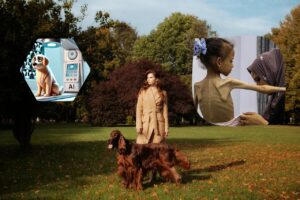 Вихованці, технології та етика: поки ми вчимося «розмовляти» з кішками, в Газі вмирають діти.