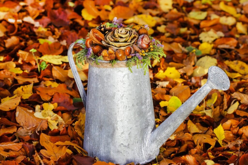 10 порад щодо підготовки саду до зими: закладіть основу майбутнього врожаю