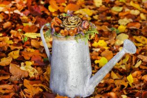 10 порад щодо підготовки саду до зими: закладіть основу майбутнього врожаю.