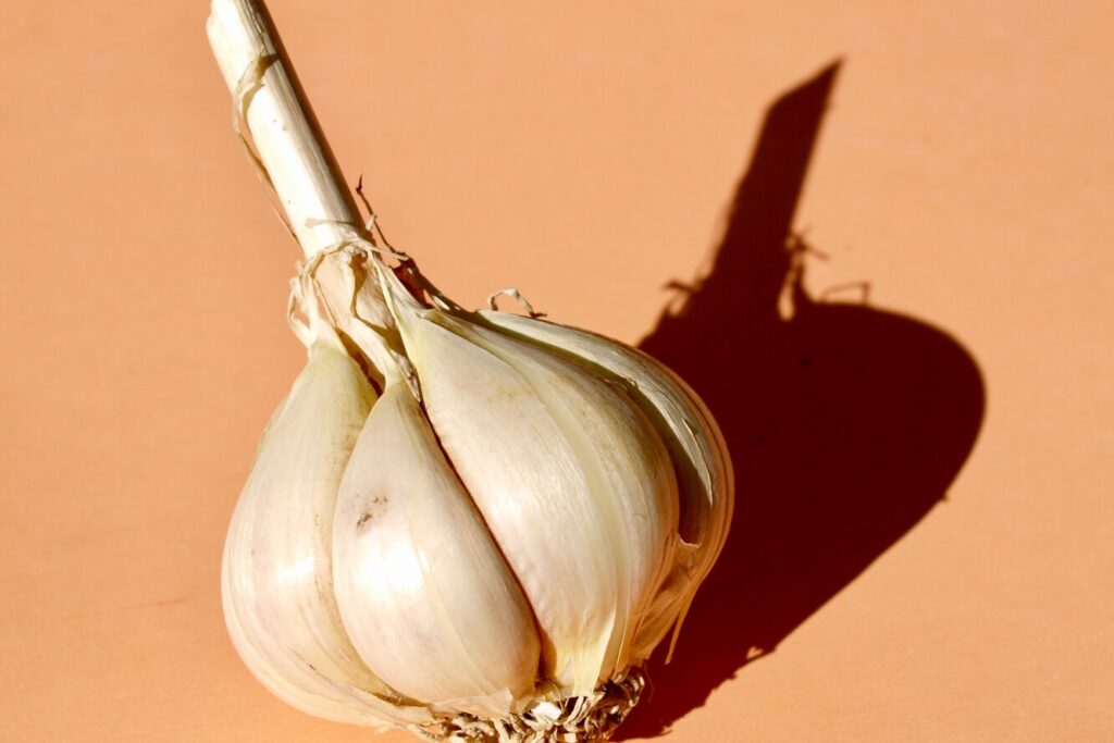 6 хитрощів посадки озимого часнику у вересні