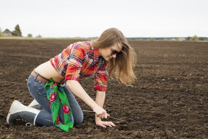 Підготовка ділянки під озимовий часник у вересні