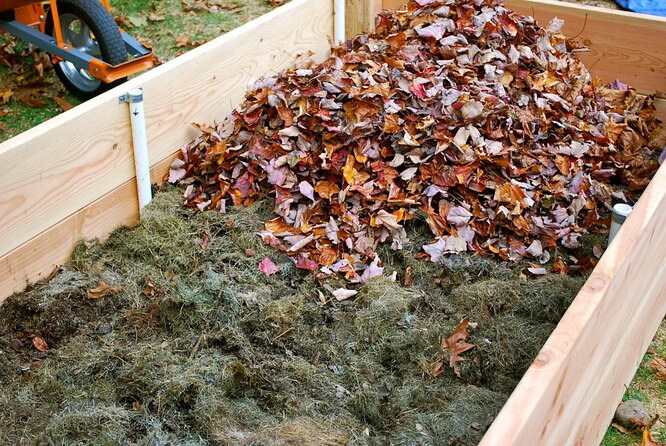 Робимо самостійно мульчу з того, що дала природа