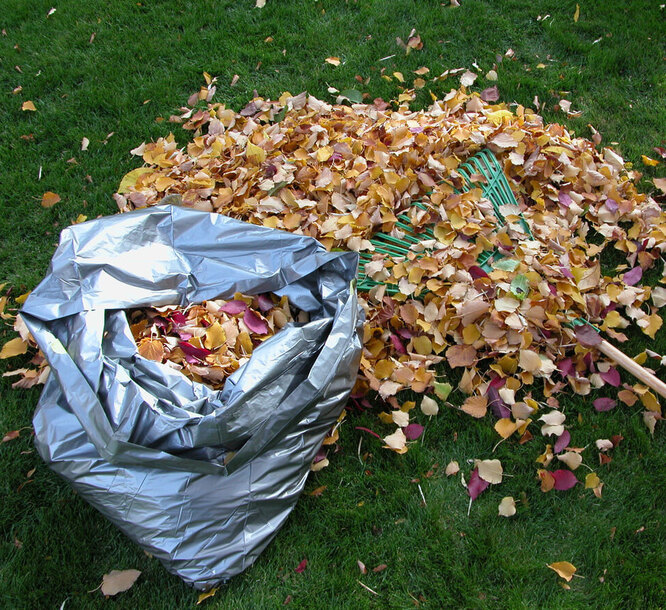 Робимо листовий компост з підручних засобів