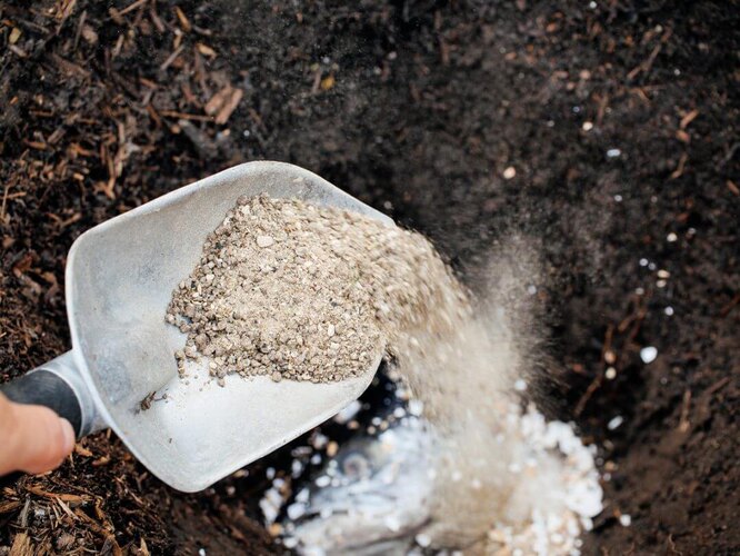 Як правильно удобрювати ґрунт попелом восени