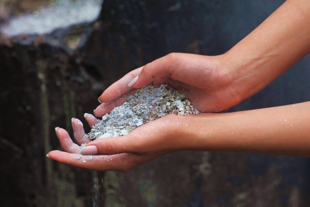 Як правильно застосовувати золу в саду та городі восени