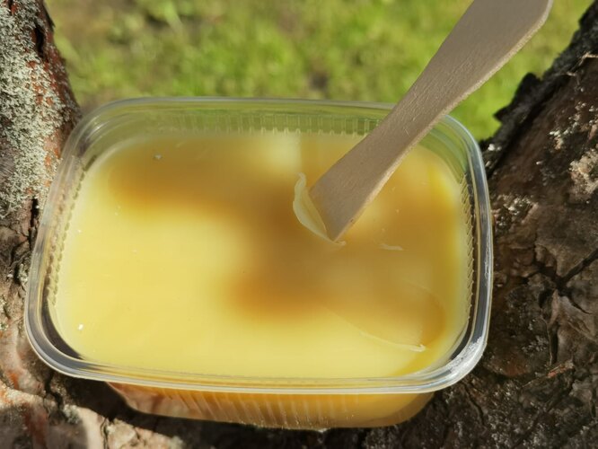 Закладення ран на корі яблуні