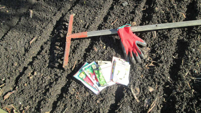 Підготовка ґрунту для посіву редису на зиму