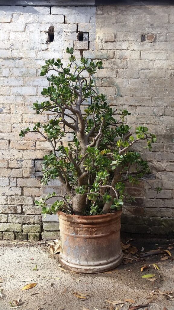 Температура та вологість