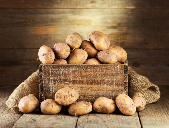 Зберігання картоплі