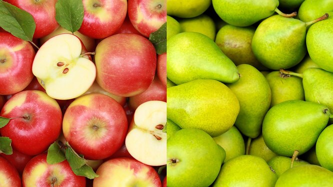 Зберігання яблук та груш