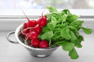 Як виростити редис у квартирі: поради досвідчених городників.